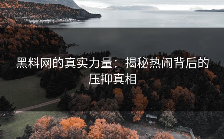 黑料网的真实力量：揭秘热闹背后的压抑真相