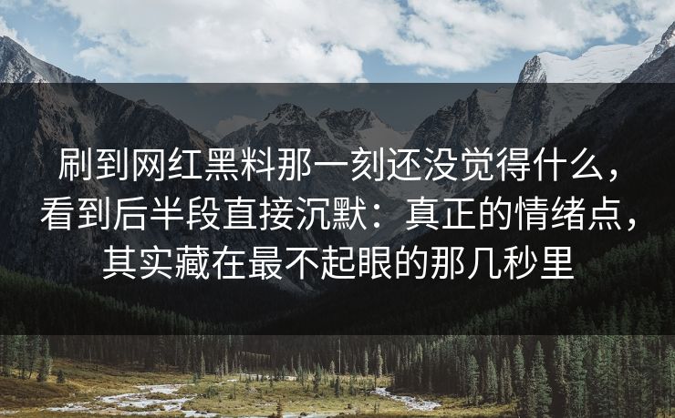 刷到网红黑料那一刻还没觉得什么，看到后半段直接沉默：真正的情绪点，其实藏在最不起眼的那几秒里