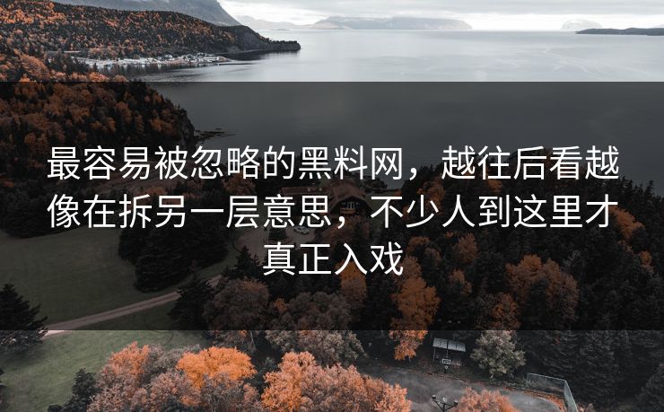 最容易被忽略的黑料网，越往后看越像在拆另一层意思，不少人到这里才真正入戏