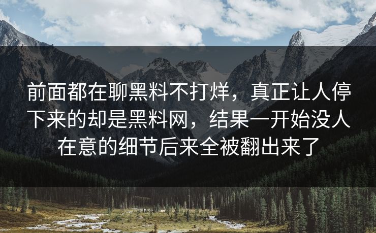 前面都在聊黑料不打烊，真正让人停下来的却是黑料网，结果一开始没人在意的细节后来全被翻出来了