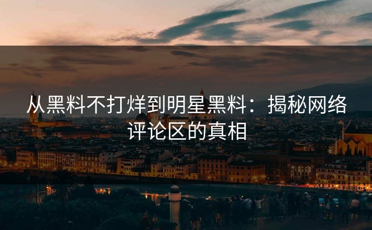 从黑料不打烊到明星黑料：揭秘网络评论区的真相