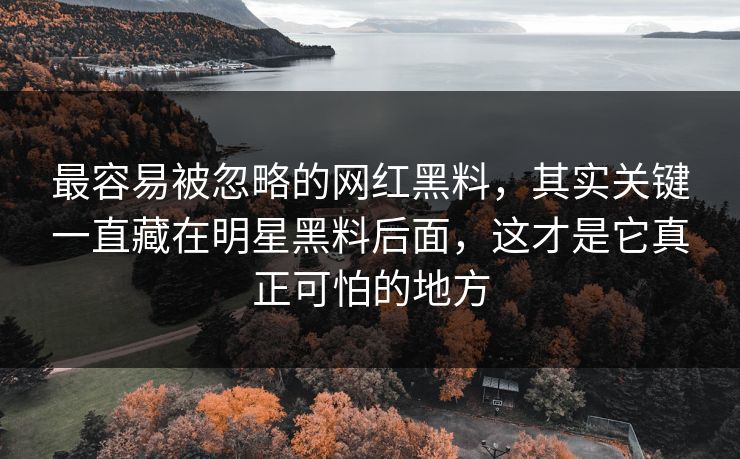 最容易被忽略的网红黑料，其实关键一直藏在明星黑料后面，这才是它真正可怕的地方