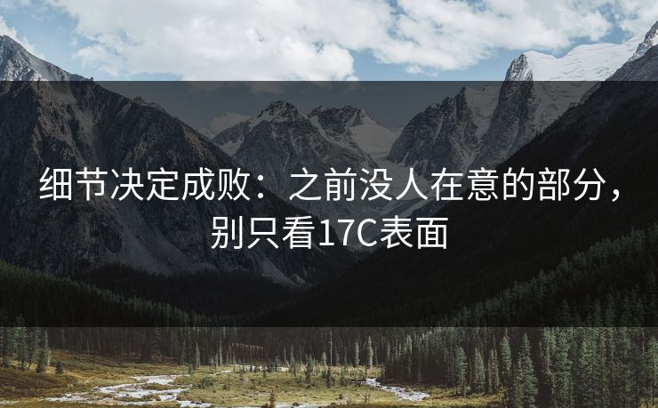 细节决定成败：之前没人在意的部分，别只看<strong>17C</strong>表面