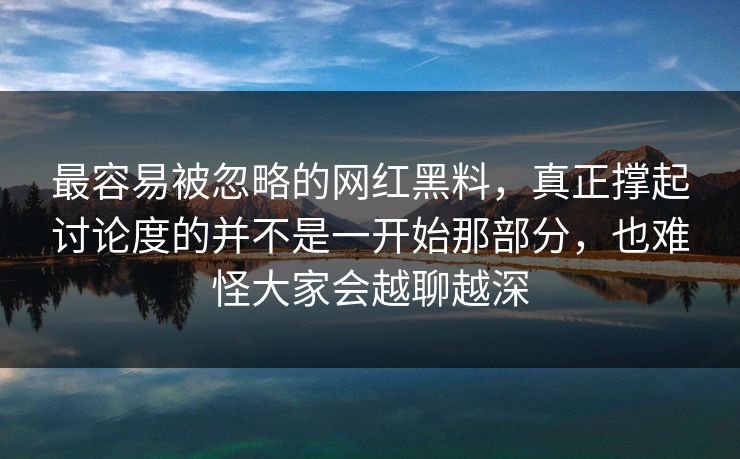 最容易被忽略的网红黑料，真正撑起讨论度的并不是一开始那部分，也难怪大家会越聊越深