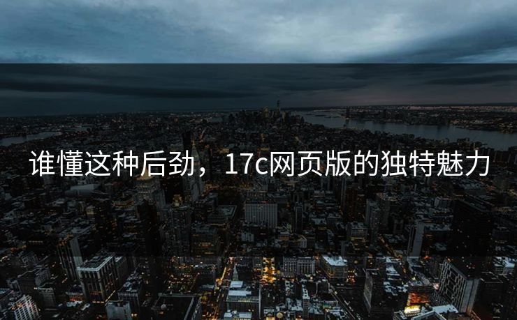 谁懂这种后劲，17c网页版的独特魅力